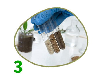 Soil Treatment reagents